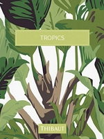 Tropics collection by Thibaut wallpaper