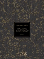Dazzling Dimensions Volume II