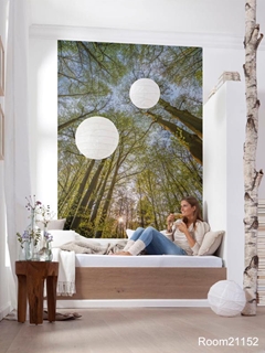 transform any wall into an exciting work of art with a wallpaper mural