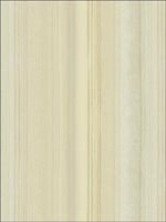 Burlington Wallpaper CB24607 by Seabrook Designer Series Wallpaper for sale at Wallpapers To Go
