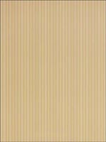 Harrison Stripe Camel Wallpaper T1009 by Thibaut Wallpaper for sale at Wallpapers To Go