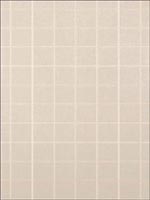 Henley Plaid Grey and Beige Wallpaper T1024 by Thibaut Wallpaper for sale at Wallpapers To Go