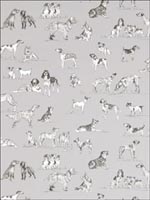 Best Friend Grey Wallpaper T1039 by Thibaut Wallpaper for sale at Wallpapers To Go