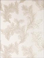 Eland Acanthus Pearl on White Wallpaper T1055 by Thibaut Wallpaper for sale at Wallpapers To Go