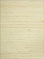 Grasscloth Wallpaper W323416 by Kravet Wallpaper for sale at Wallpapers To Go