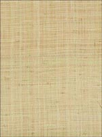 Grasscloth Wallpaper W325816 by Kravet Wallpaper for sale at Wallpapers To Go