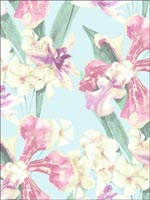 Floral Flowers Wallpaper CH81504 by Pelican Prints Wallpaper for sale at Wallpapers To Go