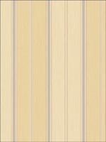 Stripes Wallpaper FI90919 by Seabrook Wallpaper for sale at Wallpapers To Go