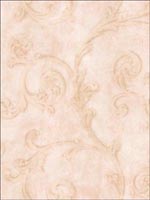 Leaf Scroll Wallpaper SA51101 by Seabrook Wallpaper for sale at Wallpapers To Go