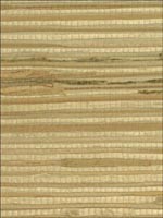 Boodle and Jute Grasscloth Wallpaper WOS3433 by Winfield Thybony Design Wallpaper for sale at Wallpapers To Go