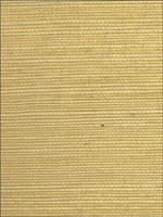 Sisal on Metallic Wallpaper WOS3436 by Winfield Thybony Design Wallpaper for sale at Wallpapers To Go