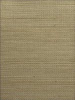 Abaca with Metallic Foil Grasscloth Wallpaper WOS3484 by Winfield Thybony Design Wallpaper for sale at Wallpapers To Go