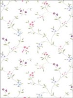 Floral Trail Wallpaper PR33801 by Norwall Wallpaper for sale at Wallpapers To Go