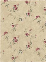 Floral Trail Wallpaper PR33806 by Norwall Wallpaper for sale at Wallpapers To Go