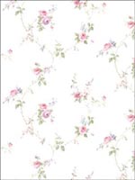 Floral Trail Wallpaper PR33811 by Norwall Wallpaper for sale at Wallpapers To Go