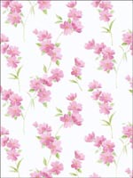 Flowers Wallpaper PR33849 by Norwall Wallpaper for sale at Wallpapers To Go