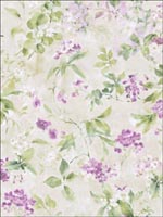 Floral Wallpaper IM40209 by Seabrook Wallpaper for sale at Wallpapers To Go