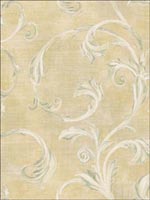 Leaf Scroll Wallpaper TR20702 by Seabrook Wallpaper for sale at Wallpapers To Go