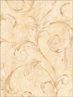 Leaf Scroll Wallpaper CL61201 by Seabrook Wallpaper for sale at Wallpapers To Go