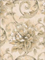 Floral Leaf Scroll Wallpaper LE20600 by Seabrook Wallpaper for sale at Wallpapers To Go