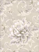 Floral Leaf Scroll Wallpaper LE20606 by Seabrook Wallpaper for sale at Wallpapers To Go