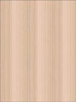 Striped Wallpaper WC51206 by Seabrook Wallpaper for sale at Wallpapers To Go