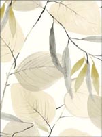 Ivory Wallpaper CB91407 by Seabrook Designer Series Wallpaper for sale at Wallpapers To Go