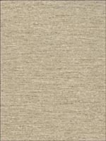 Silk Taupe Wallpaper AMW10035106 by Andrew Martin Wallpaper for sale at Wallpapers To Go