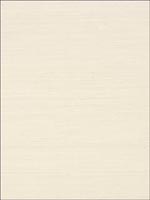 Shang Extra Fine Sisal Light Taupe Wallpaper T41161 by Thibaut Wallpaper for sale at Wallpapers To Go