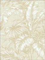 Tropical Leaves Wallpaper SG41405 by Pelican Prints Wallpaper for sale at Wallpapers To Go
