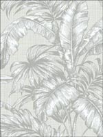Tropical Leaves Wallpaper SG41408 by Pelican Prints Wallpaper for sale at Wallpapers To Go