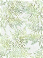 Fern Leaf Wallpaper SG41604 by Pelican Prints Wallpaper for sale at Wallpapers To Go