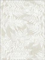 Fern Leaf Wallpaper SG41608 by Pelican Prints Wallpaper for sale at Wallpapers To Go