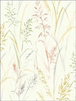 Grass Wallpaper SG41901 by Pelican Prints Wallpaper for sale at Wallpapers To Go