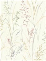 Grass Wallpaper SG41909 by Pelican Prints Wallpaper for sale at Wallpapers To Go