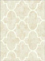 Lattice Wallpaper FN31605 by Pelican Prints Wallpaper for sale at Wallpapers To Go
