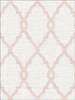 Classical Lattice Wallpaper FN31705 by Pelican Prints Wallpaper for sale at Wallpapers To Go