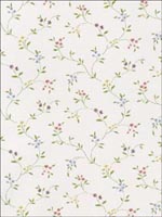 Floral Trail Wallpaper CN24604 by Norwall Wallpaper for sale at Wallpapers To Go