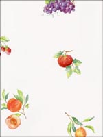 Fruit Wallpaper FK26906 by Norwall Wallpaper for sale at Wallpapers To Go