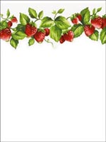 Strawberries Border FK72635DC by Norwall Wallpaper for sale at Wallpapers To Go