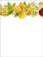 Fruit Border KC78352DC by Norwall Wallpaper for sale at Wallpapers To Go