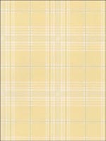 Plaid Wallpaper KV27422 by Norwall Wallpaper for sale at Wallpapers To Go