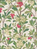 Strawberry Tree Scarlet and Ivory Wallpaper 10010049 by Cole and Son Wallpaper for sale at Wallpapers To Go