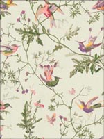 Hummingbirds Green Multi Color Wallpaper 10014070 by Cole and Son Wallpaper for sale at Wallpapers To Go