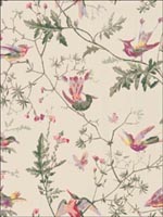 Hummingbirds Original Multi Color Wallpaper 10014071 by Cole and Son Wallpaper for sale at Wallpapers To Go