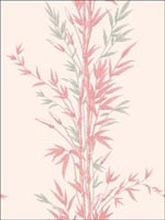 Bamboo Pink Wallpaper 1005024 by Cole and Son Wallpaper for sale at Wallpapers To Go