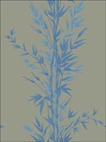 Bamboo Blue on Khaki Wallpaper 1005026 by Cole and Son Wallpaper for sale at Wallpapers To Go