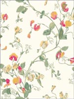 Sweet Pea Pink and Yellow Wallpaper 1006027 by Cole and Son Wallpaper for sale at Wallpapers To Go
