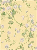 Sweet Pea Yellow Wallpaper 1006029 by Cole and Son Wallpaper for sale at Wallpapers To Go