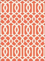Imperial Trellis II Ivory Mandarin Wallpaper 5005800 by Schumacher Wallpaper for sale at Wallpapers To Go